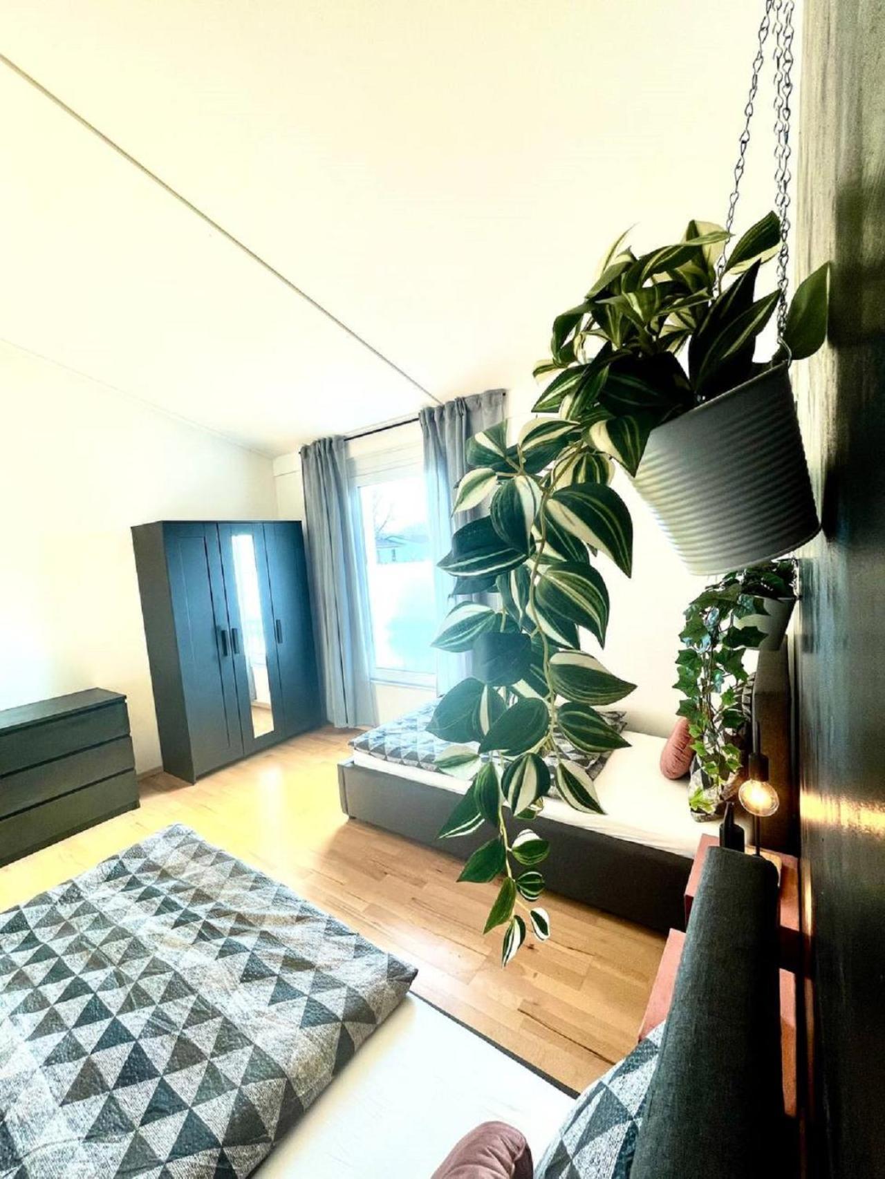 Geraeumiges Ferienhaus In Koblenz Koblenz  Kültér fotó